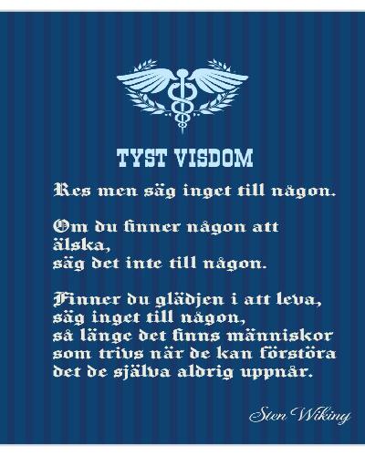 TYST VISDOM
