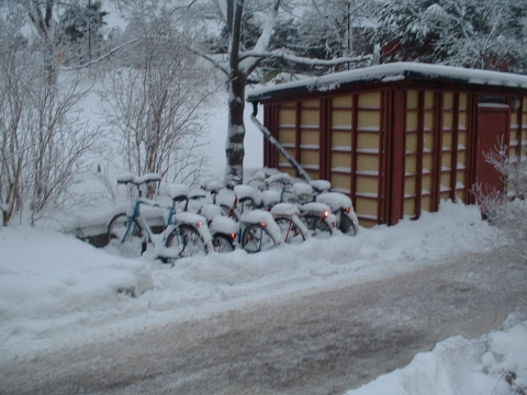 Cyklar i vinterställ